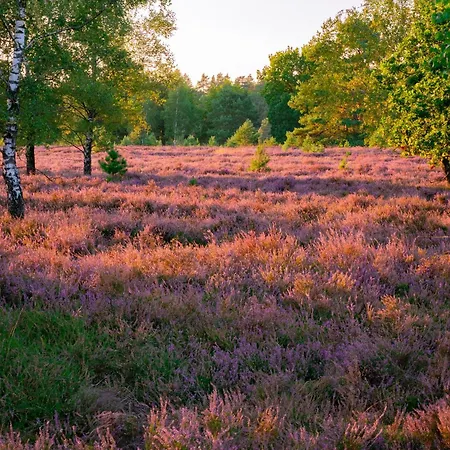 Apartmán Hygge Homes - Traumhafte Altbauwohnung Nahe Lueneburgs Altstadt Lüneburg